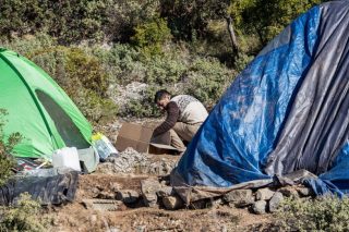 Καταδίκη για τη «ζούγκλα»